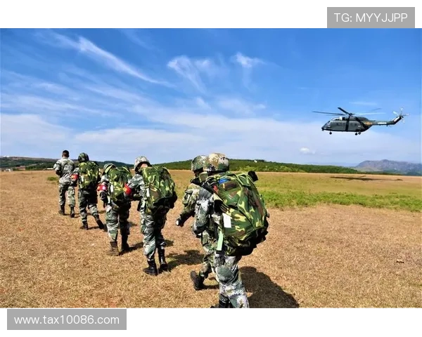 深入分析杭州飞盘队边路渗透战术的独特魅力与实战应用